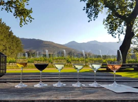 Cape Winelands Wine Tour